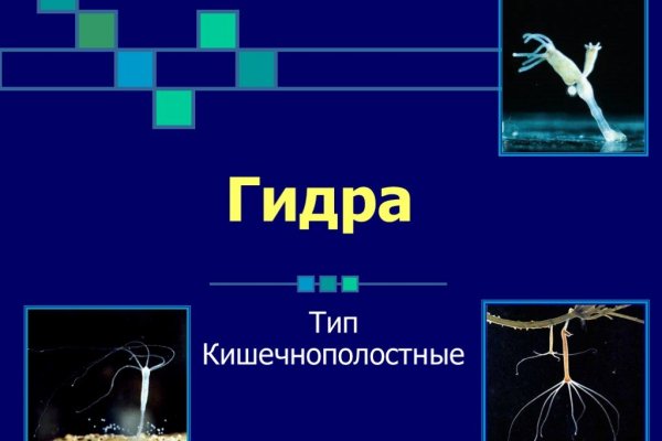 Mega market ссылка