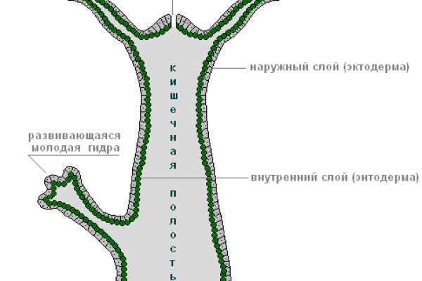 Кракен наркоторговец