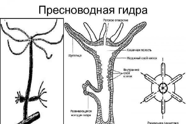 Кракен даркент